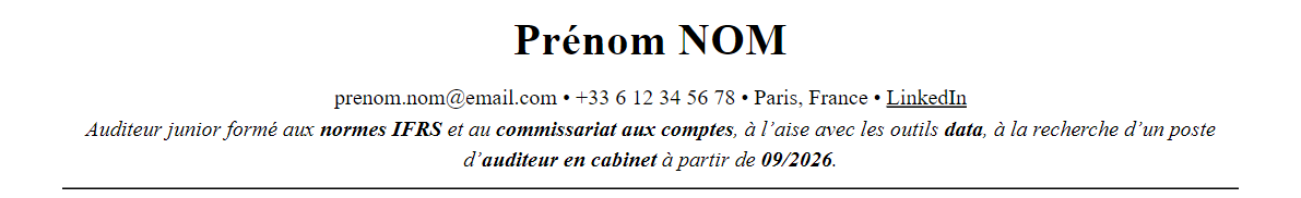 CV Audit (Big 4) : en-tête et accroche