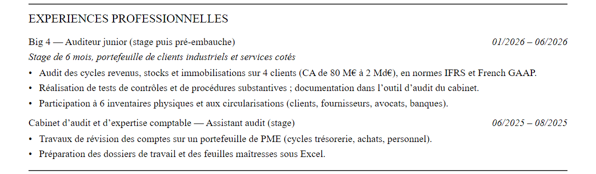 CV Audit (Big 4) : expériences